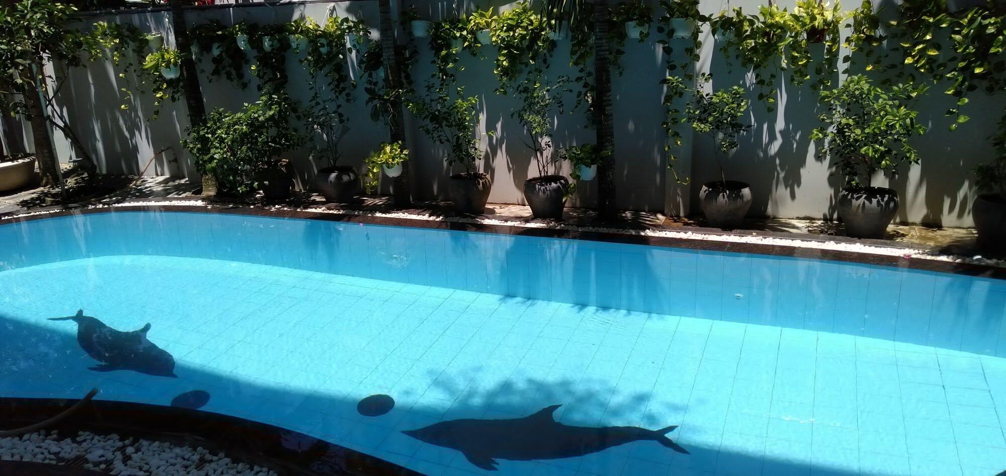 The Moon Villa Hoi An Exteriör bild